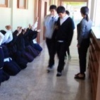 „Wiosłem”  po łapach