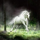 Literatura fantasy - marzenie o bajkowej idei czy zniekształcony obraz rzeczywistości ?