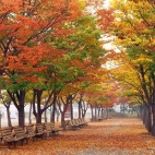 Wszystko będzie dobrze