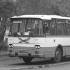 Autobusy zapłakane deszczem