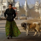 Cygański problem Europy