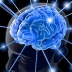 Siłownia dla mózgu?