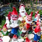 O gustach się nie dyskutuje