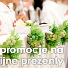 Profanum comoedia spectaculi