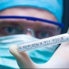 Ukoronowanie głupoty