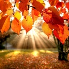 Październik jest i basta....