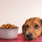 Nie dla psa kiełbasa