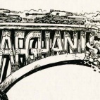 Język dezinformacji