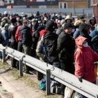 Rozkwitają pąki białych róż