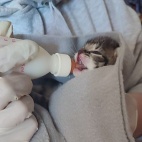 Pomagając innym, pomagasz sobie