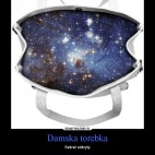 Traktat na temat damskiej torebki