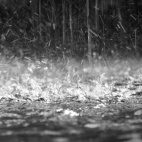 Za plastikowym szkłem -  cz. 1